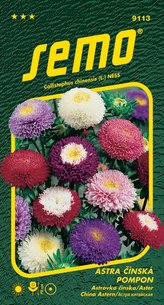 Astra čínská - Pompon směs 0,5g