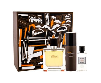 Hermes Terre D´Hermes parfém 75 ml + voda po holení 40 ml + pěna na holení 50 ml Hermes Terre D´Hermes parfém 75 ml + voda po holení 40 ml + pěna na holení 50 ml