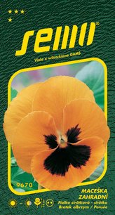 Maceška zahradní - oranžová s okem 0,3g