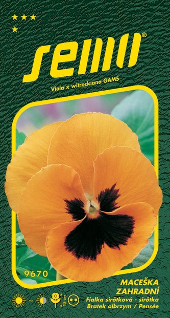 Maceška zahradní - oranžová s okem 0,3g