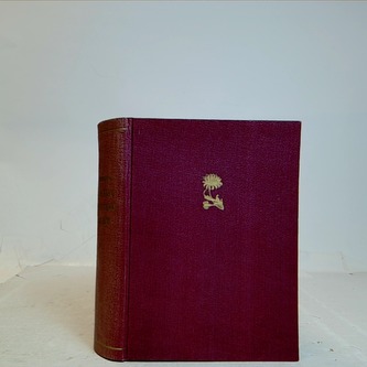 Sebrané spisy Jana Herbena - Hostišov