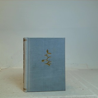 Pout do Mekky a Mediny