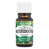 Saloos naturcosmetic Mateřídouška 5 ml