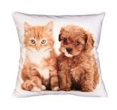 Fotonávlek, Štěňátko a kotě, 40 x 40 cm