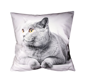 Fotonávlek, Britská kočka, 40 x 40 cm