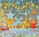 Fotopolštář, Sobi a světýlka, 40 x 40 cm samostatný návlek