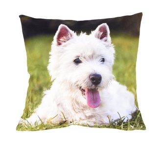 Fotonávlek, Bílý pejsek, 40 x 40 cm