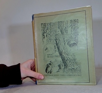 Dobrodružství včelky Aly