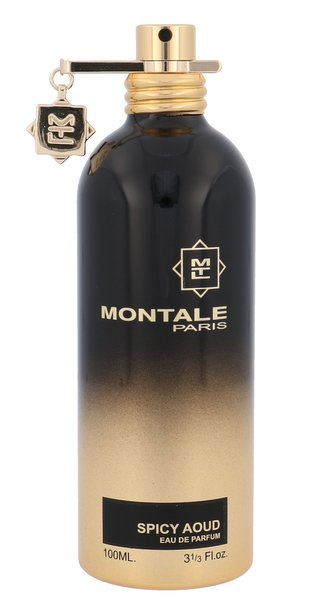 Montale Paris Spicy Aoud Parfémovaná voda 100 ml unisex