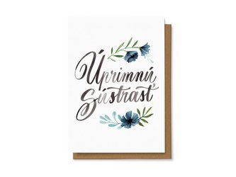 Chaukiss Uprímnú sústrasť