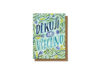 Chaukiss Děkuji za všechno