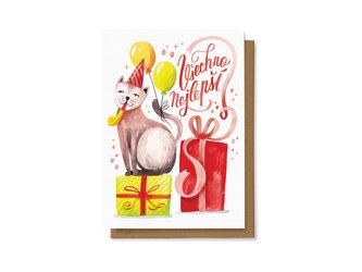 Chaukiss Všechno nejlepší (Kočka)