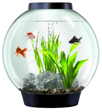 Biorb akvarijní set černý 30l