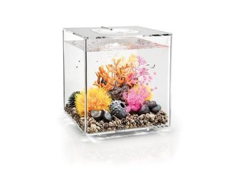 Akvarium BIORB CUBE MCR tranparent 30l