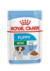 Kapsička Royal Canin SHN MINI PUPPY 1 kus