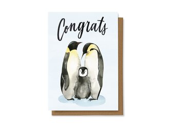 Chaukiss Congrats - penguin