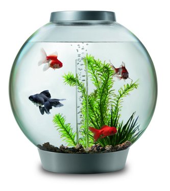 Biorb akvarijní set stríbrný 30l
