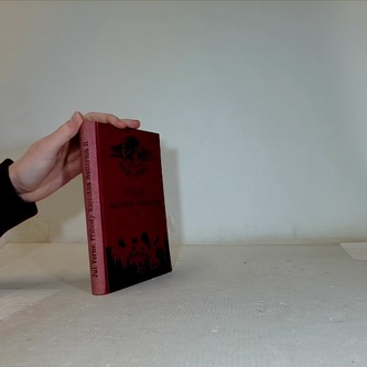 Příhody Kapitána Hatterasa II.