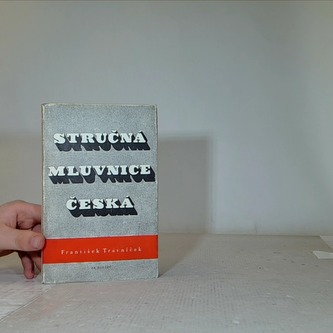 Stručná mluvnice Česká