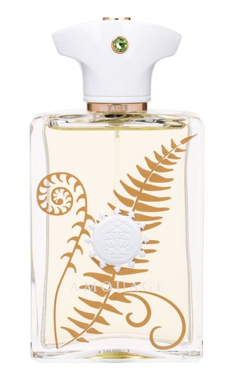 Amouage Bracken Man Parfémovaná voda 100 ml pro muže