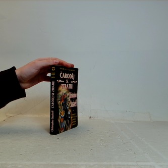 Čaroděj se ztratil