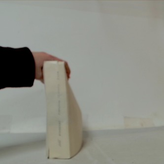 Ochránce městských bran