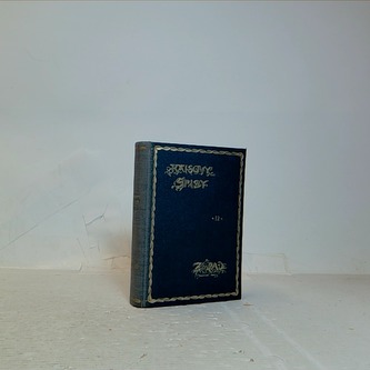 Raisovy spisy 12 - Západ pohorský obraz