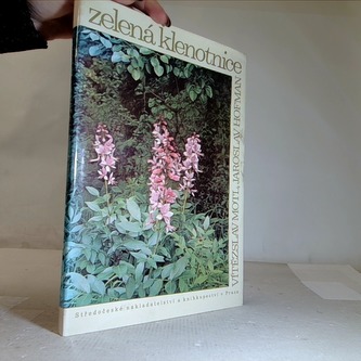 Zelená klenotnice