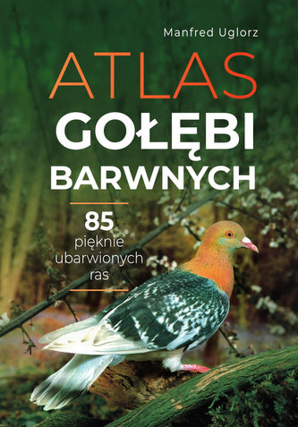 Atlas gołębi barwnych Atlas gołębi barwnych
