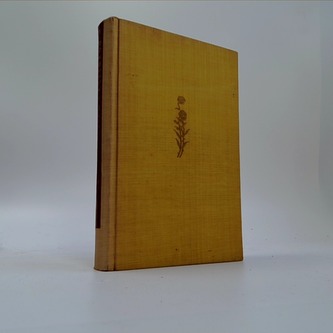 Žil jsem s cizinkou