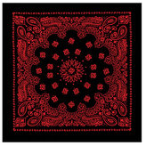 Šátek 55 x 55 cm TRAINMEN ČERNO-ČERVENÝ