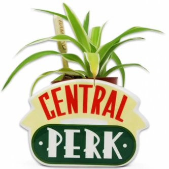 Dekorační váza - květináč Friends|Přátelé: Central Perk (11 x 8 x 7 cm)