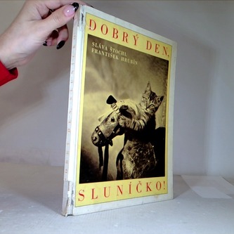 Dobrý den sluníčko