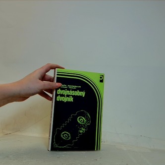 Dvojnásobný dvojník