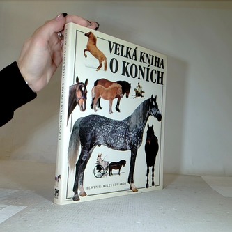 Velká kniha o koních