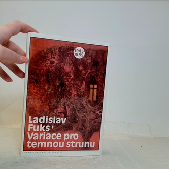 Variace pro temnou strunu