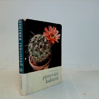 Pěstování kaktusů