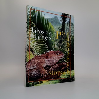 Bonsai nejen v paneláku