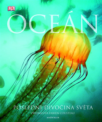 Oceán Oceán