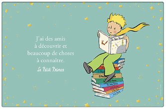 Prostírání STA07G21 MALÝ PRINC KIUB