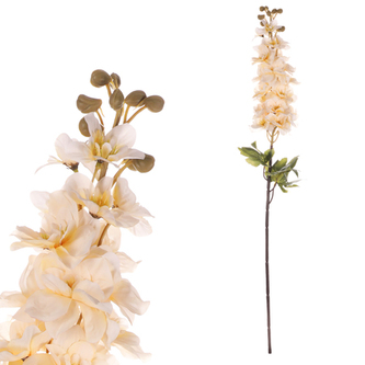 Ostrožka, krémová barva.