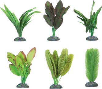 FLAMINGO  akvarijní rostliny mix  CONGO XS