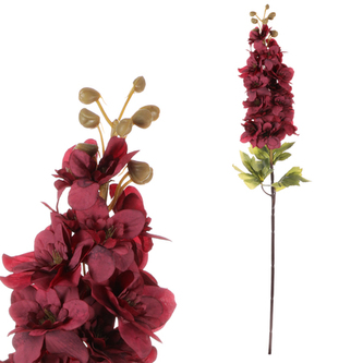 Ostrožka, bordó barva.