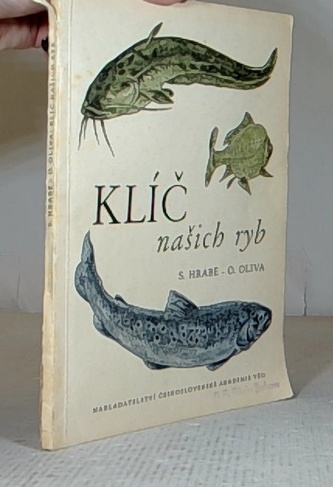 Klíč našich ryb