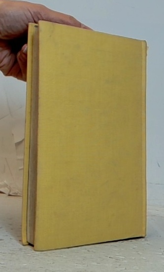 Evropa ve stínu Hitlera