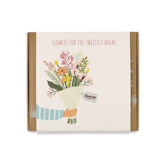 Blossombs Semínkové bomby - Dárková sada střední "Pro nejlepší maminku"- Kytice (9 ks)