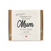 Blossombs Semínkové bomby - Dárková sada střední "Pro nejlepší maminku" (9 ks)