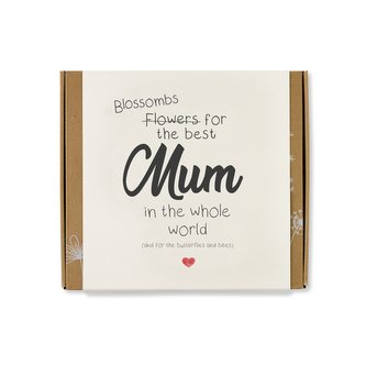 Blossombs Semínkové bomby - Dárková sada střední "Pro nejlepší maminku" (9 ks)