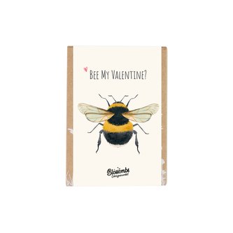 Blossombs Semínkové bomby - Dárková sada mini "Bee my Valentine" - Včelka (4 ks)