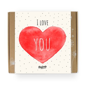 Blossombs Semínkové bomby - Dárková sada střední "Miluji tě" (9 ks)